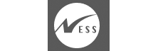 Ness Digital Engineering